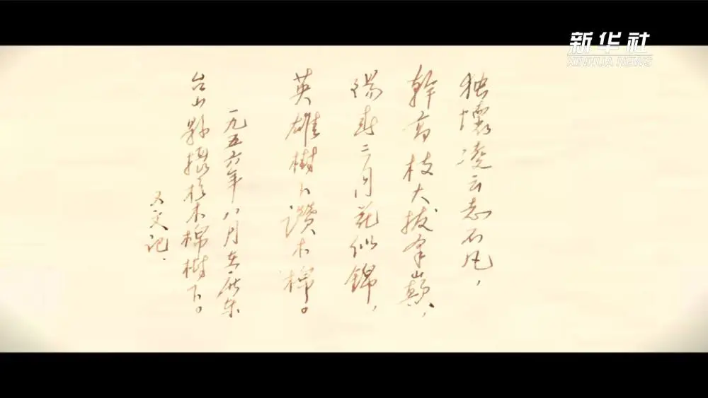图片11.png